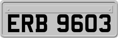 ERB9603