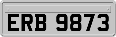 ERB9873