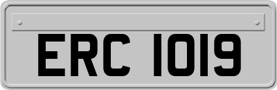 ERC1019