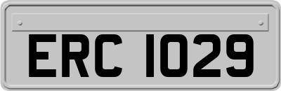 ERC1029