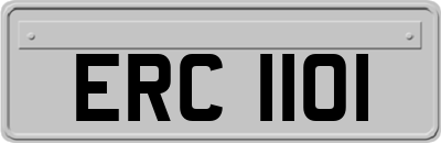 ERC1101
