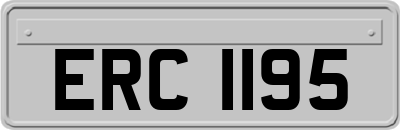 ERC1195
