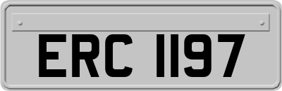 ERC1197