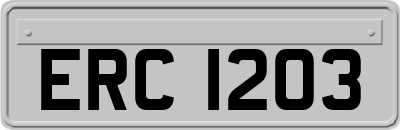 ERC1203