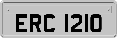 ERC1210