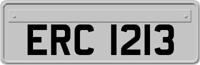 ERC1213