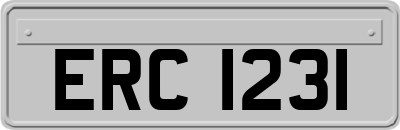 ERC1231