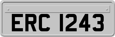 ERC1243