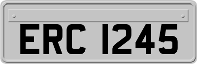 ERC1245
