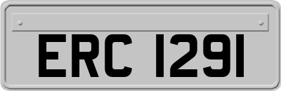 ERC1291
