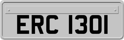 ERC1301