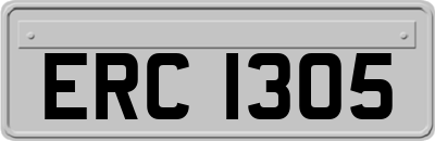 ERC1305