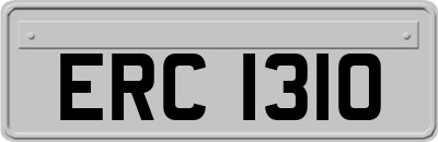 ERC1310