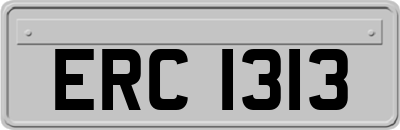 ERC1313