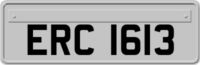 ERC1613
