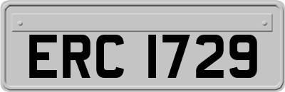 ERC1729