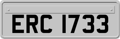 ERC1733