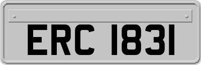 ERC1831