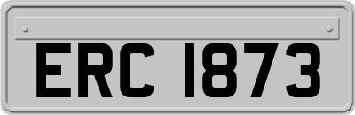 ERC1873