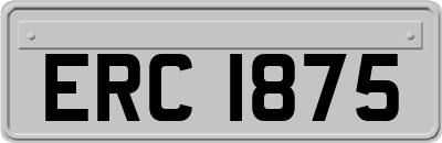ERC1875