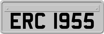 ERC1955