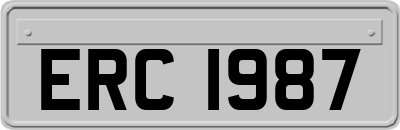 ERC1987