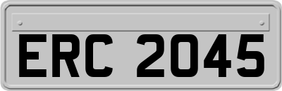 ERC2045