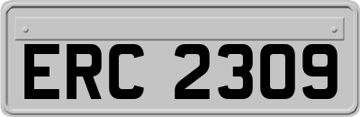 ERC2309