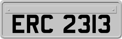 ERC2313