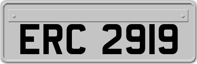 ERC2919