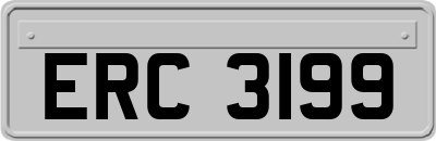 ERC3199