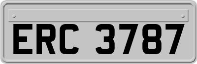 ERC3787