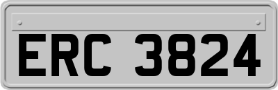 ERC3824