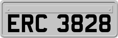 ERC3828