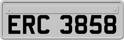 ERC3858