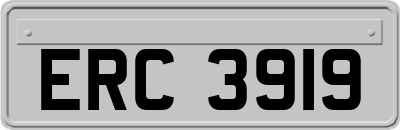 ERC3919