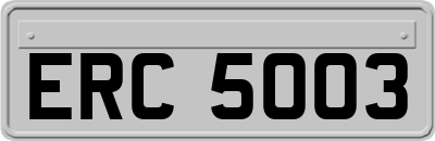 ERC5003