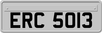 ERC5013