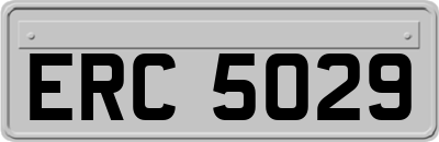 ERC5029