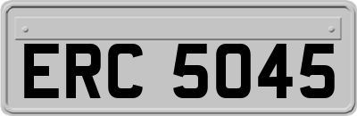 ERC5045