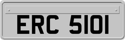 ERC5101
