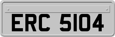 ERC5104