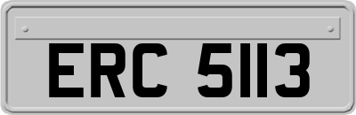 ERC5113