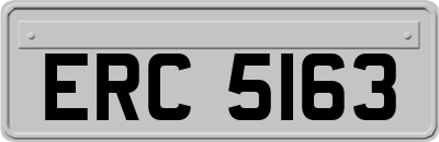 ERC5163