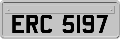 ERC5197