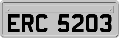 ERC5203