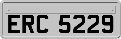 ERC5229