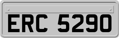 ERC5290
