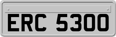 ERC5300