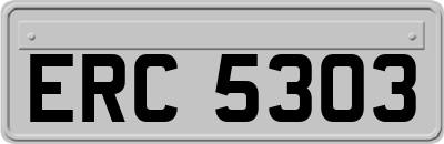 ERC5303